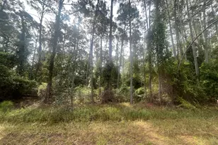 107 Pine Ave, Georgetown, FL 32139 - Photo 1