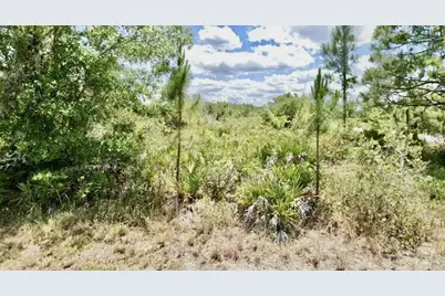 3362 Rhododendron Road, Lake Placid, FL 33852 - Photo 1