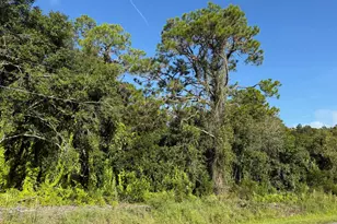 0 Magnolia Dr, Okeechobee, FL 34972 - Photo 1