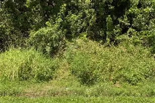 3874 SW Kasin St, Port Saint Lucie, FL 34953 - Photo 1