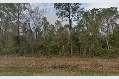 4300 Nancy Street, Hastings, FL 32145 - Photo 1