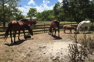 16201 SW 170th Ave, Miami, FL 33187 - Photo 1