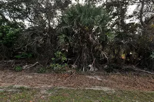 Tbd Oregon Ln, North Port, FL 34286 - Photo 1