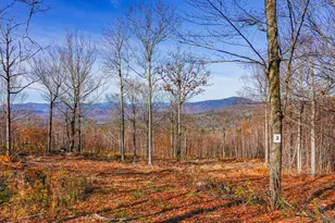 Lot 2 Mine Rd, Stoneham, ME 04231 - Photo 1