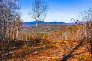 Lot 4 Mine Road, Stoneham, ME 04231 - Photo 1