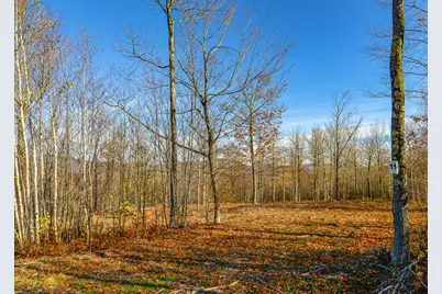 Lot 11 Mine Road, Stoneham, ME 04231 - Photo 1