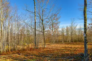 Lot 11 Mine Rd, Stoneham, ME 04231 - Photo 1