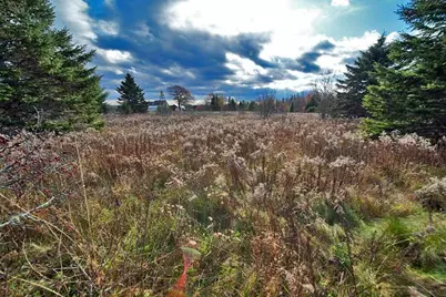 Lot 18 US Rt 2 Highway, Sherman, ME 04776 - Photo 39