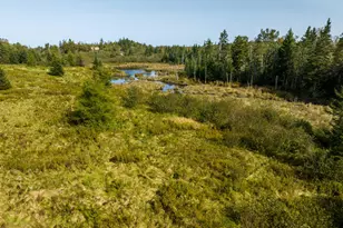 117 Denbow Rd, Lubec, ME 04652 - Photo 55