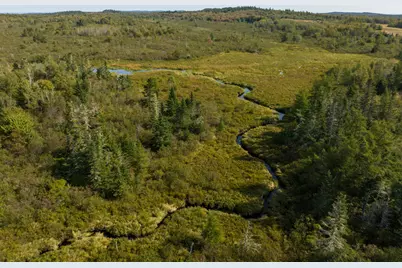 117 Denbow Road, Lubec, ME 04652 - Photo 29
