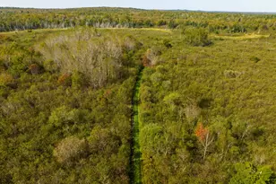 117 Denbow Rd, Lubec, ME 04652 - Photo 39