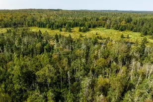 117 Denbow Rd, Lubec, ME 04652 - Photo 53