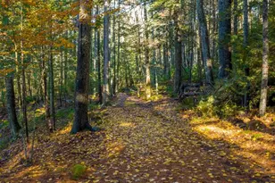 440 Belfast Rd, Camden, ME 04843 - Photo 39