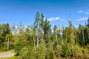 4 Birds Eye Rd, Rangeley Plt,  04970 - Photo 43