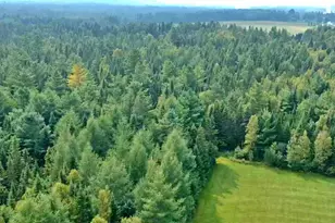54 St John Rd, Fort Kent, ME 04743 - Photo 7