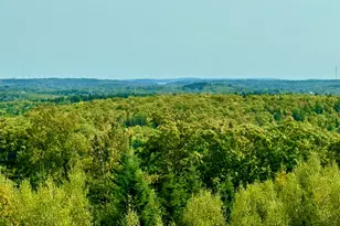 382 Ridge Rd, Marshfield, ME 04654 - Photo 11