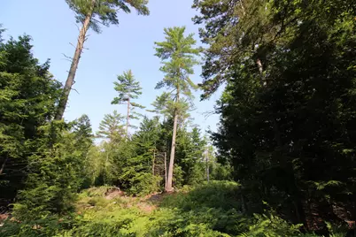 Lot 12 Bear Pond Road, Waterford, ME 04088 - Photo 67