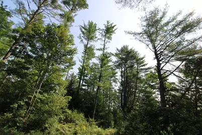 Lot 12 Bear Pond Road, Waterford, ME 04088 - Photo 69
