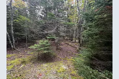 12-3 S S Burnt Cove Road, Stonington, ME 04681 - Photo 5