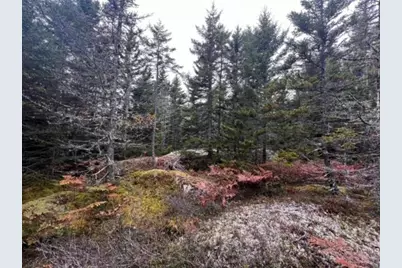 12-4 S S Burnt Cove Road, Stonington, ME 04681 - Photo 3