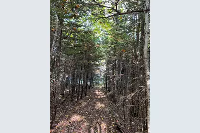472 Schooner Head Road, Bar Harbor, ME 04609 - Photo 105