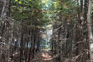 472 Schooner Head Rd, Bar Harbor, ME 04609 - Photo 105