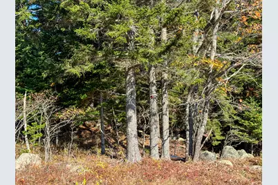 Lot 48B Getchell Lane, Marshfield, ME 04654 - Photo 33