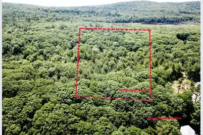 225 Priest Road, Northport, ME 04849 - Photo 5