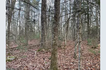 225 Priest Road, Northport, ME 04849 - Photo 11