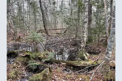 225 Priest Road, Northport, ME 04849 - Photo 13