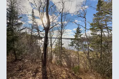 379 Cutler Road, Machiasport, ME 04655 - Photo 3
