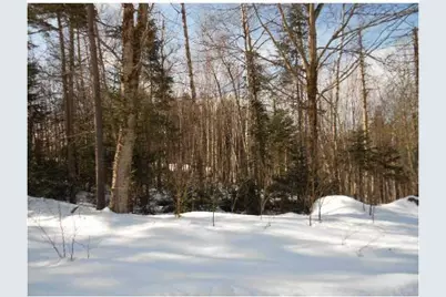 Lot 23.1 Glades View Avenue, Newry, ME 04261 - Photo 7