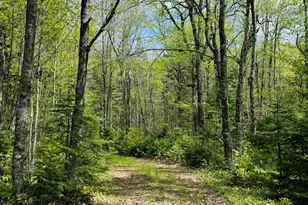 950 Carrying Pl Rd, Carrying Place Town Twp, ME 04961 - Photo 17