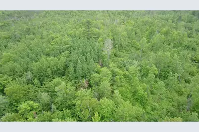 Tbd Trafton Road, Parkman, ME 04443 - Photo 21
