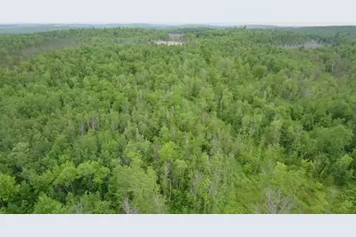 Tbd Trafton Road, Parkman, ME 04443 - Photo 13