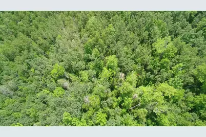 Tbd Trafton Road, Parkman, ME 04443 - Photo 7