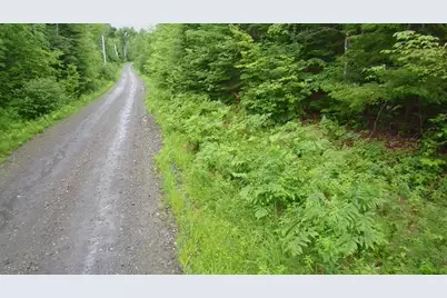 Tbd Trafton Road, Parkman, ME 04443 - Photo 11