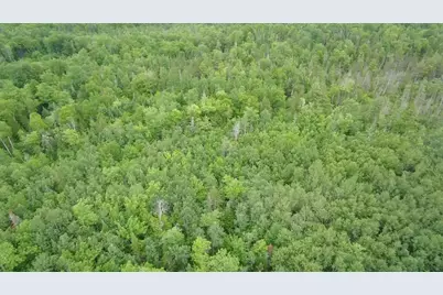 Tbd Trafton Road, Parkman, ME 04443 - Photo 5