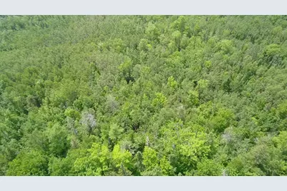 Tbd Trafton Road, Parkman, ME 04443 - Photo 9