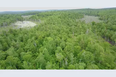 Tbd Trafton Road, Parkman, ME 04443 - Photo 3