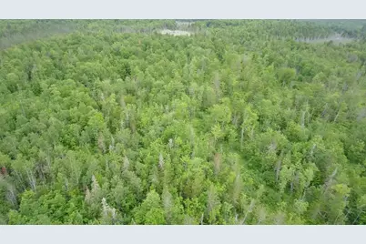 Tbd Trafton Road, Parkman, ME 04443 - Photo 23