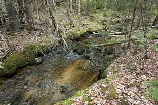 82 Station Rd, Jonesboro, ME 04648 - Photo 89