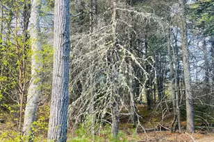 165 Pine Ledge Rd, Bangor, ME 04401 - Photo 1