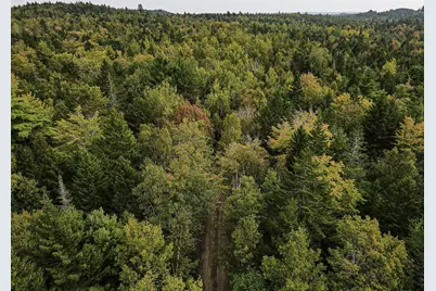 Lot 11-1 Carry Ridge Road, Northfield, ME 04686 - Photo 7