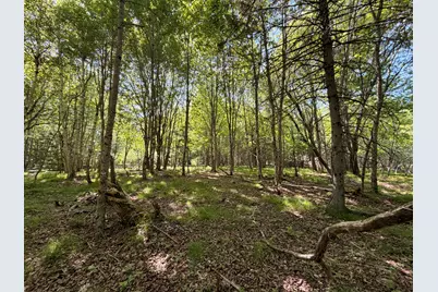 M5L42 Hooke Road, Harrington, ME 04643 - Photo 33