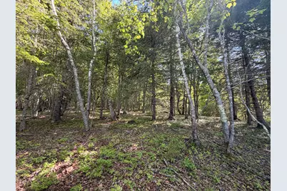 M5L42 Hooke Road, Harrington, ME 04643 - Photo 29
