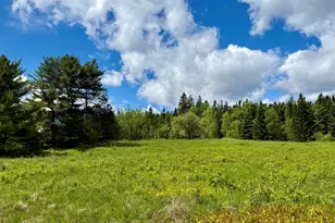 149 Old Eastport Rd, Perry, ME 04667 - Photo 13