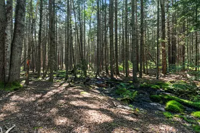 Lot 2B Allen Point Road, Harpswell, ME 04079 - Photo 5
