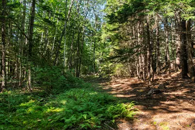 Lot 2B Allen Point Road, Harpswell, ME 04079 - Photo 7