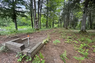 6 Maple Dr, Abbot, ME 04406 - Photo 77
